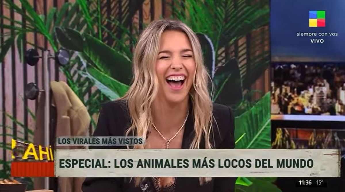 Soledad Fandiño compartió los videos virales de animales más divertidos