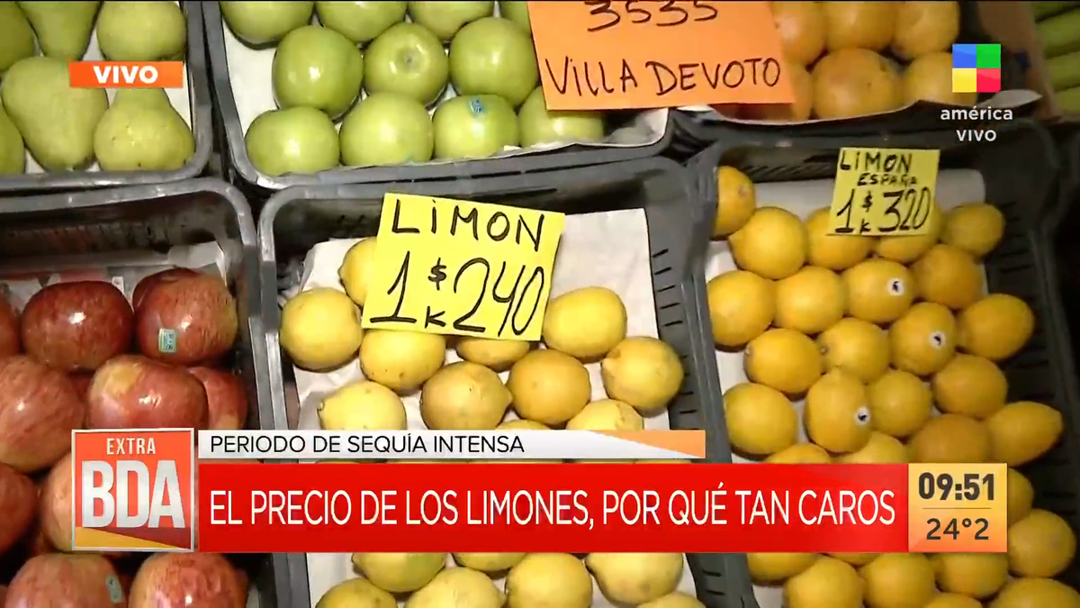 Limones: por qué la fruta está tan cara