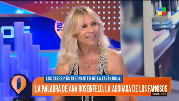 Ana Rosenfeld, la abogada de los famosos, en Intrusos