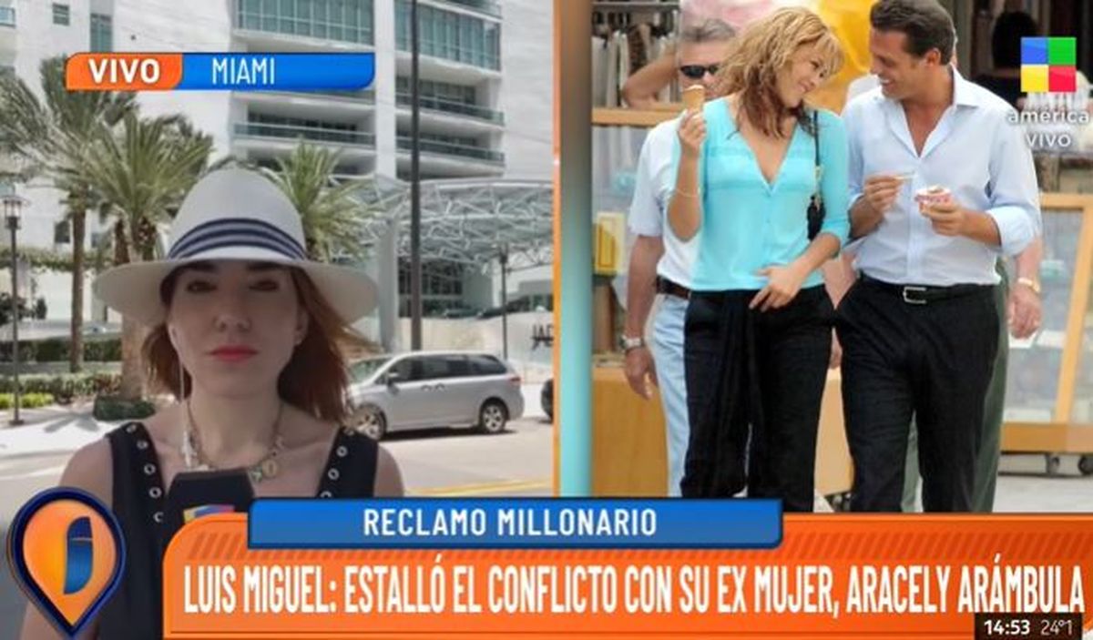 Luis Miguel: el millonario reclamo de su ex mujer, Aracely Arámbula