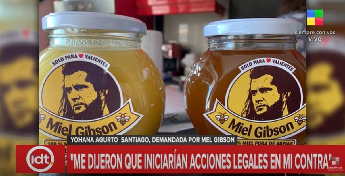 Mel Gibson demanda a una emprendedora chilena