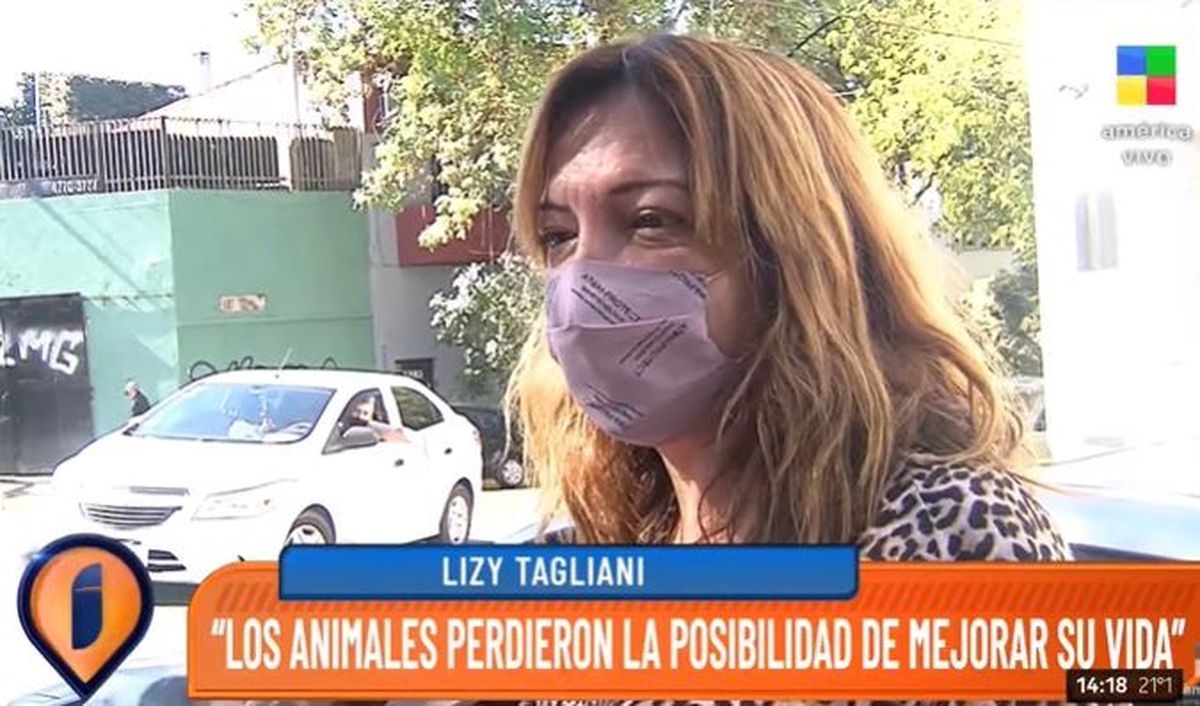 Lizy Tagliani habría sido estafada por un refugio de animales: La persona que lo hace ya lo va a pagar