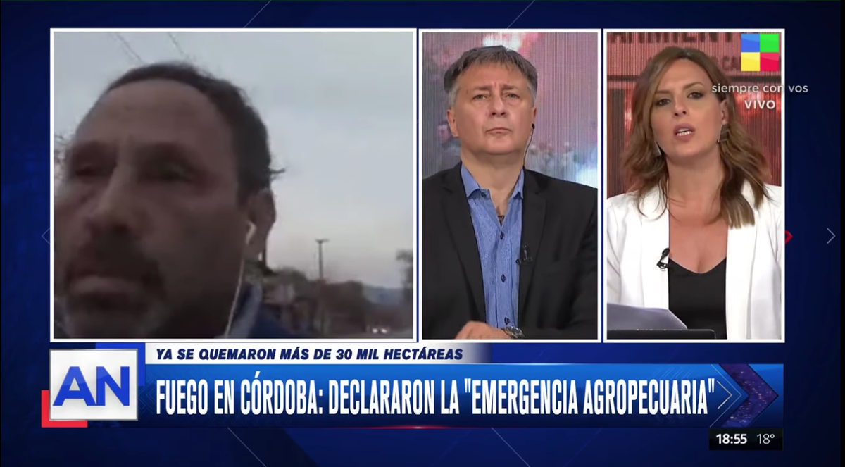Declaran la emergencia agropecuaria por los incendios en Córdoba